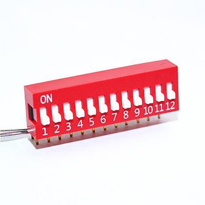 撥碼開關(guān)RDP(L)系列