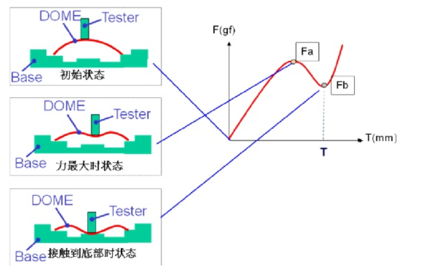 輕觸開關(guān)被施加壓力時其反作用力的變化過程